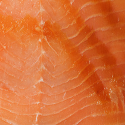 Salmão Fumado 1